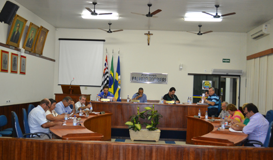 Vereadores durante discussão e votação das matérias apresentadas na ordem do dia da última sessão ordinária de novembro
